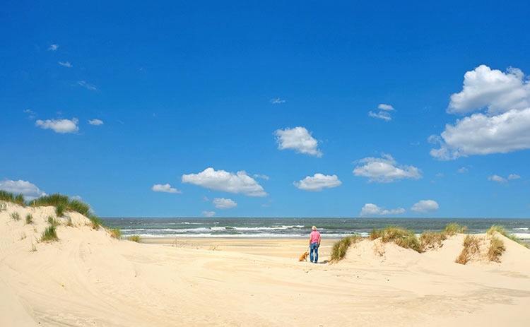 Ausflugsziele rund um Ameland - Insel Terschelling