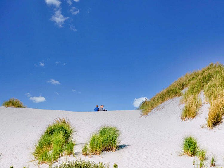 Insel Ameland - Landschaft 