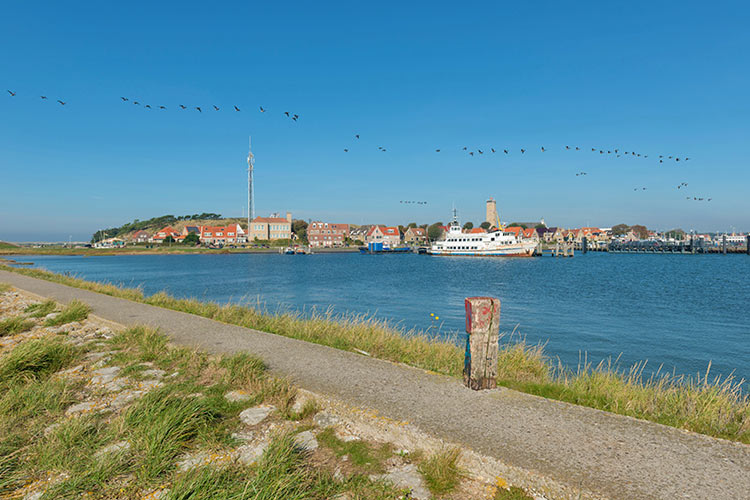 Westfriesische Inseln - Terschelling